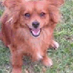 Meet your Posher, Sandy